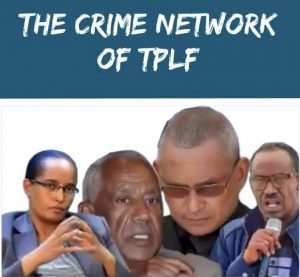 TPLF crime network
